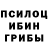 Галлюциногенные грибы Cubensis Katy Breny