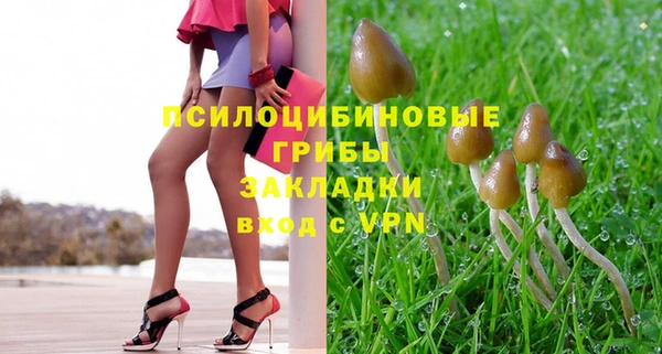 наркотики Бородино